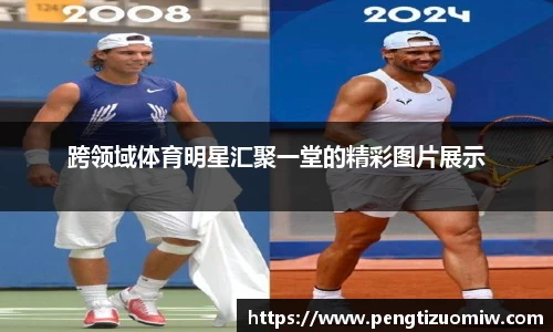 乐鱼体育官网